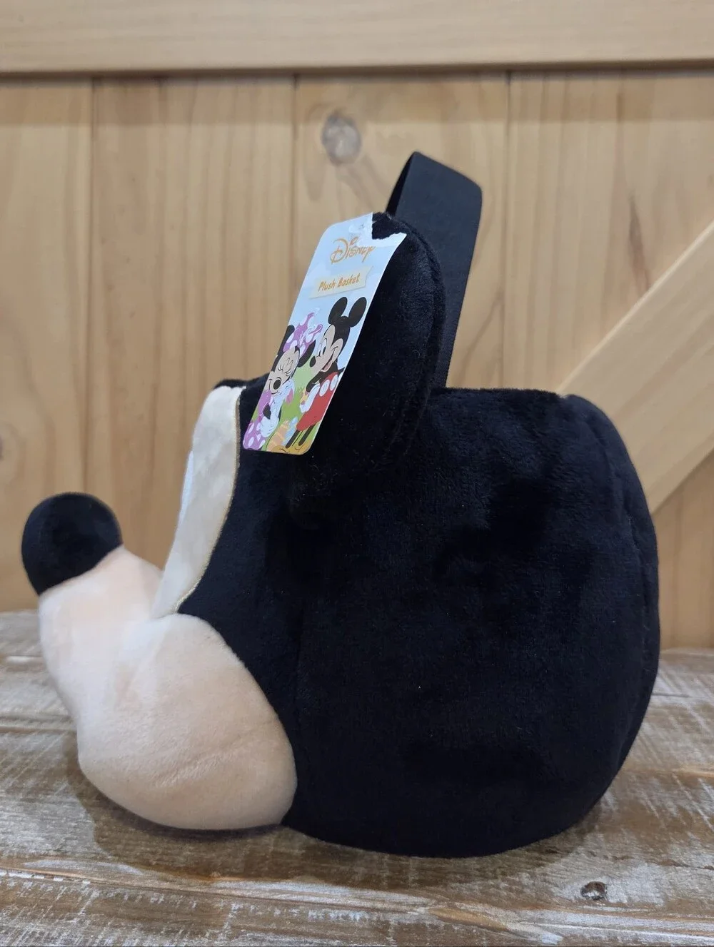 Disney never bucket